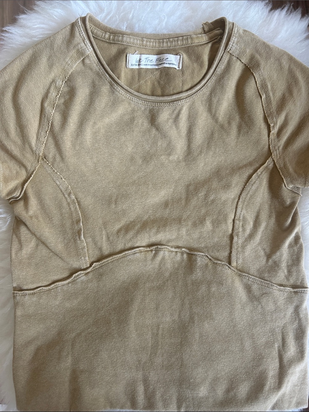 Free People We The Free Protagonist Tee